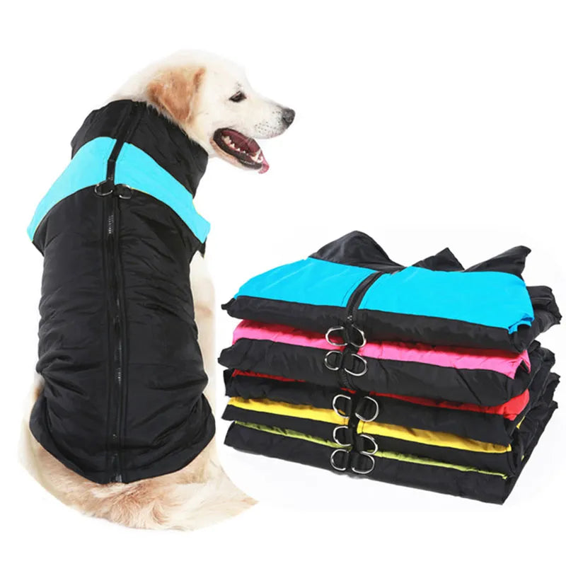 Pet coat Tailored for Dogs of All Sizes