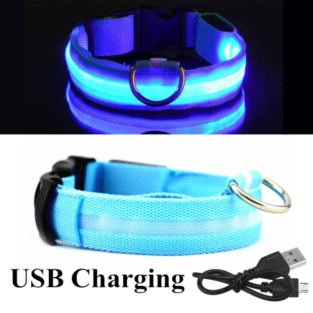 LED Glowing Dog Collar Luminous & Adjustable Makes Your Dog Visible Safe