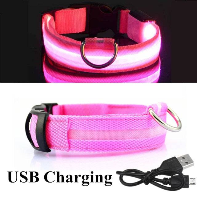 LED Glowing Dog Collar 